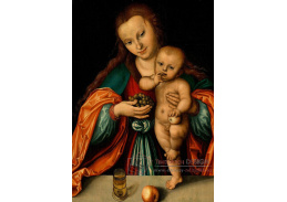 VlCR-135 Lucas Cranach - Madonna s dítětem