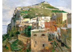 VU181 Theodore Robinson - Capri