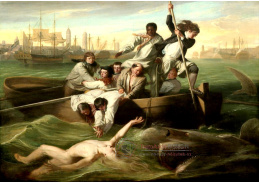 SO IX 408 John Singleton Copley - Watson a žralok