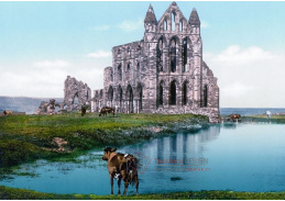 Fotochrom VF 321 Zřícenina kláštera Whitby Abbey, Anglie