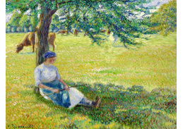 VCP-364 Camille Pissarro - Pasáčka kráv v Eragny