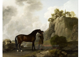 SO X-439 George Stubbs - Arabský hřebec