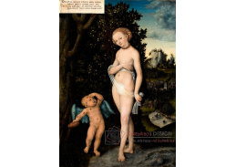 VlCR-178 Lucas Cranach - Amor a Venuše