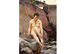 SO VII-255 Anders Zorn - Na skále