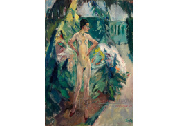 KO II-308 Leo Putz - Šedý den