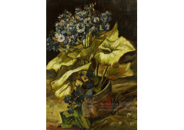 A-3253 Vincent van Gogh - Cineraria