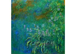 R8-183 Claude Monet - Kosatce