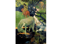 R9-198 Paul Gauguin - Bílý kůň