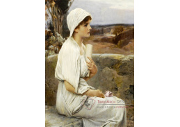 VCM 764 Alfred Seifert - Hypatia