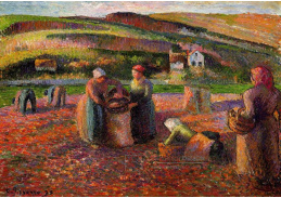 VCP-195 Camille Pissarro - Sklízeň brambor