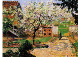 VCP-350 Camille Pissarro - Kvetoucí švestky v Eragny