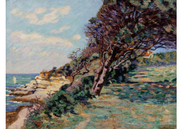 A-3371 Armand Guillaumin - V Pointe de la Douane