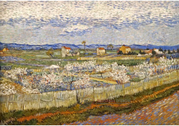 A-9 Vincent van Gogh - La Crau s kvetoucími broskvoněmi