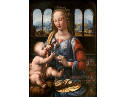 VR1-10 Leonardo da Vinci - Madonna s karafiátem