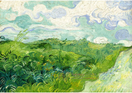 D-7701 Vincent van Gogh - Zelené pšeničné pole v Auvers