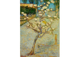 R2-50 Vincent van Gogh - Malá kvetoucí hrušeň