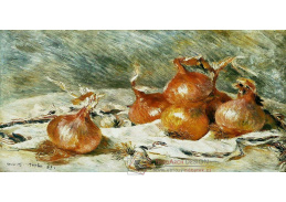 R14-146 Pierre-Auguste Renoir - Cibule