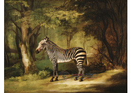 SO X-444 George Stubbs - Zebra