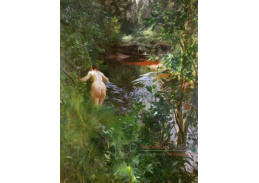 VSO1599 Anders Zorn - V Gopsmoru