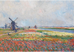 A-340 Claude Monet - Tulipánová pole poblíž Haagu