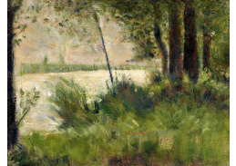 D-8154 Georges Seurat - Travnaté nábřeží