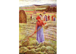 VCP-31 Camille Pissarro - Senoseč u Eragny