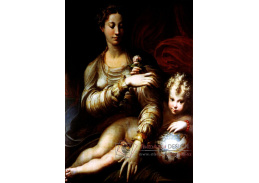 DDSO-2947 Parmigianino - Madonna s růží