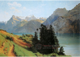 VSO 525 Alexandre Calame - Jezero Lucerne