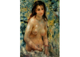 VR14-121 Pierre-Auguste Renoir - Nahota na slunci