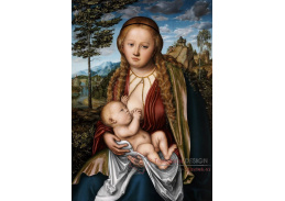 VlCR-131 Lucas Cranach - Madonna s dítětem