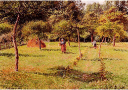 VCP-133 Camille Pissarro - Pole v Eragny