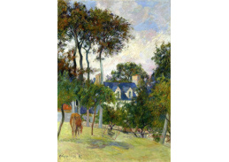 R9-63 Paul Gauguin - Bílý dům