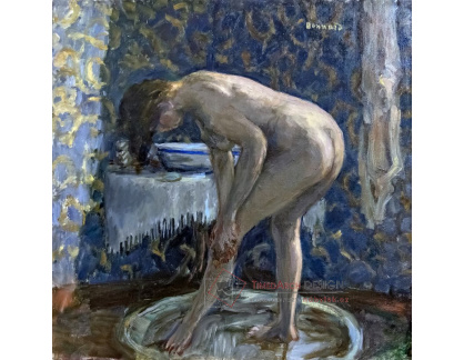 A-3314 Pierre Bonnard - Nahá ve vaně