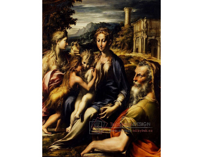 DDSO-2950 Parmigianino - Madonna se svatým Zachariášem