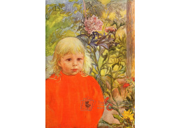 VSO1356 Carl Larsson - Bo