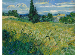 D-6174 Vincent van Gogh - Zelené obilí