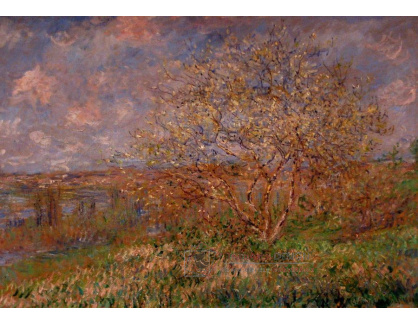 VCM 187 Claude Monet - Jaro