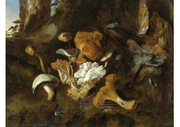 KO III-318 Otto Marseus van Schrieck - Zátiší s houbami, motýly a hadem