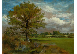 A-7069 Lionel Bicknell Constable - Strom na louce