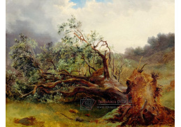 DDSO-420 Alexandre Calame - Padlý strom