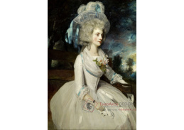 SO VII-243 Joshua Reynolds - Elizabeth, hraběnka z Warwicku