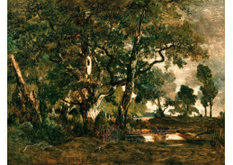 SO XIV-200 Theodore Rousseau - Les ve Fontainebleau