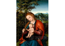 VlCR-130 Lucas Cranach - Madonna s dítětem