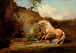 SO X-437 George Stubbs - Kůň který se děsí lva