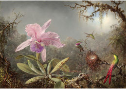 D-7441 Martin Johnson Heade - Orchidej a tři kolibříci