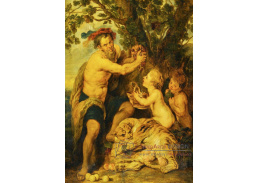 DDSO-2091 Peter Paul Rubens - Muž s vodou a tygr