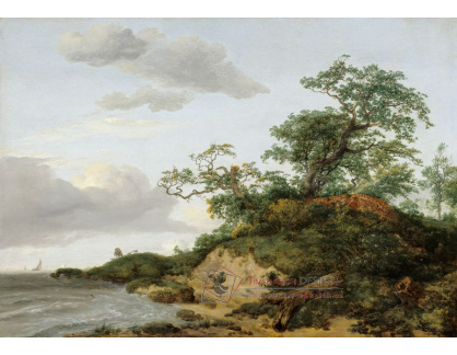 D-7302 Jacob van Ruisdael - Duny u moře