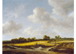 D-8174 Jacob van Ruisdael - Krajina s pšeničným polem