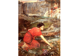 VSO211 John William Waterhouse - Dívka trhající květiny