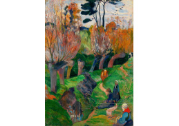 R9-133 Paul Gauguin - Vrby